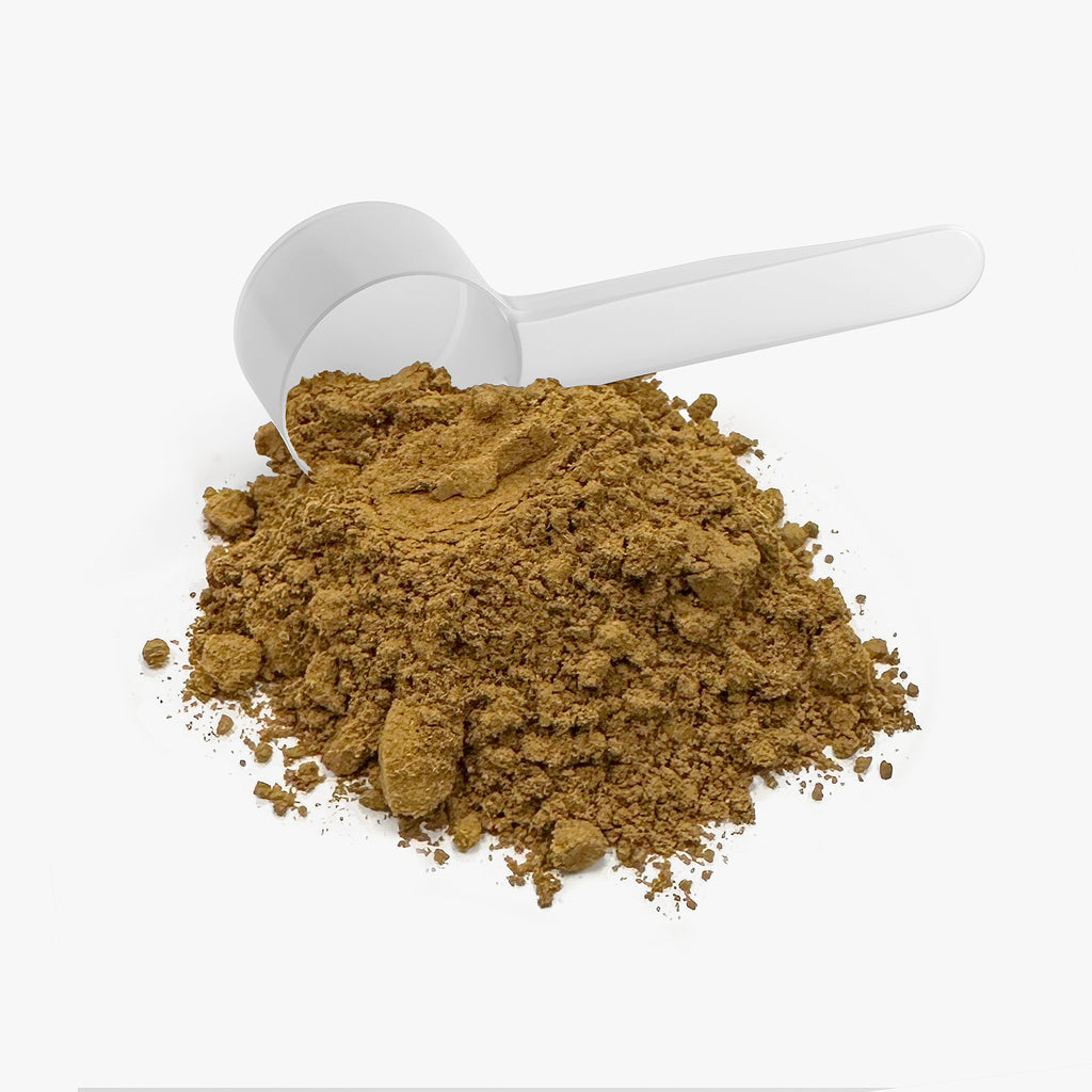 Mushroom Fuse Instant Coffee · Medium Roast · Lion’s Mane & Chaga · Freeze‑Dried Arabica · Functional Coffee Blend