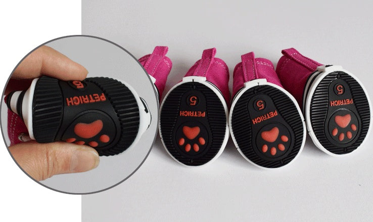 Pet training clicker and collars on a white background. Bishop X 