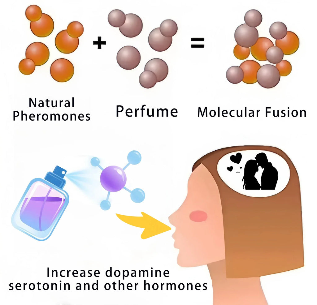 description_selected3