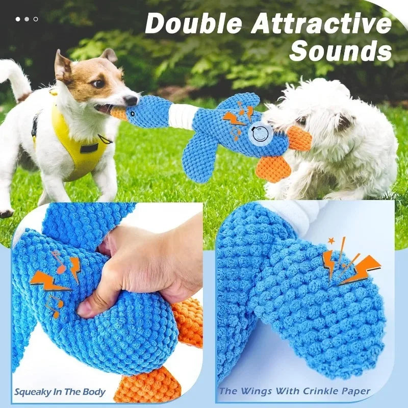 description_selected4