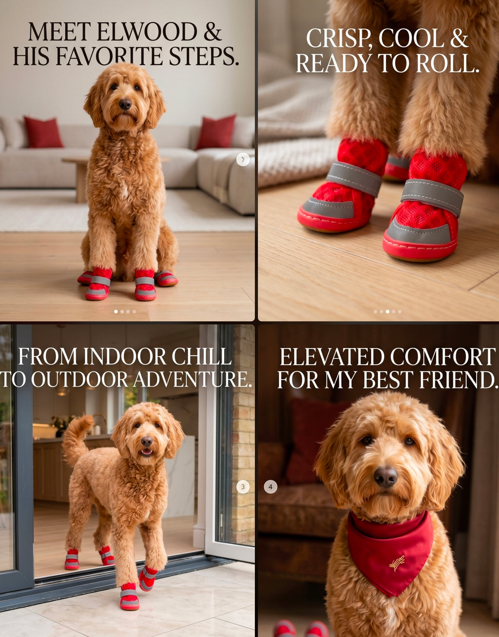 Collage of a dog wearing red boots with text describing the product and its uses. Bishop X 