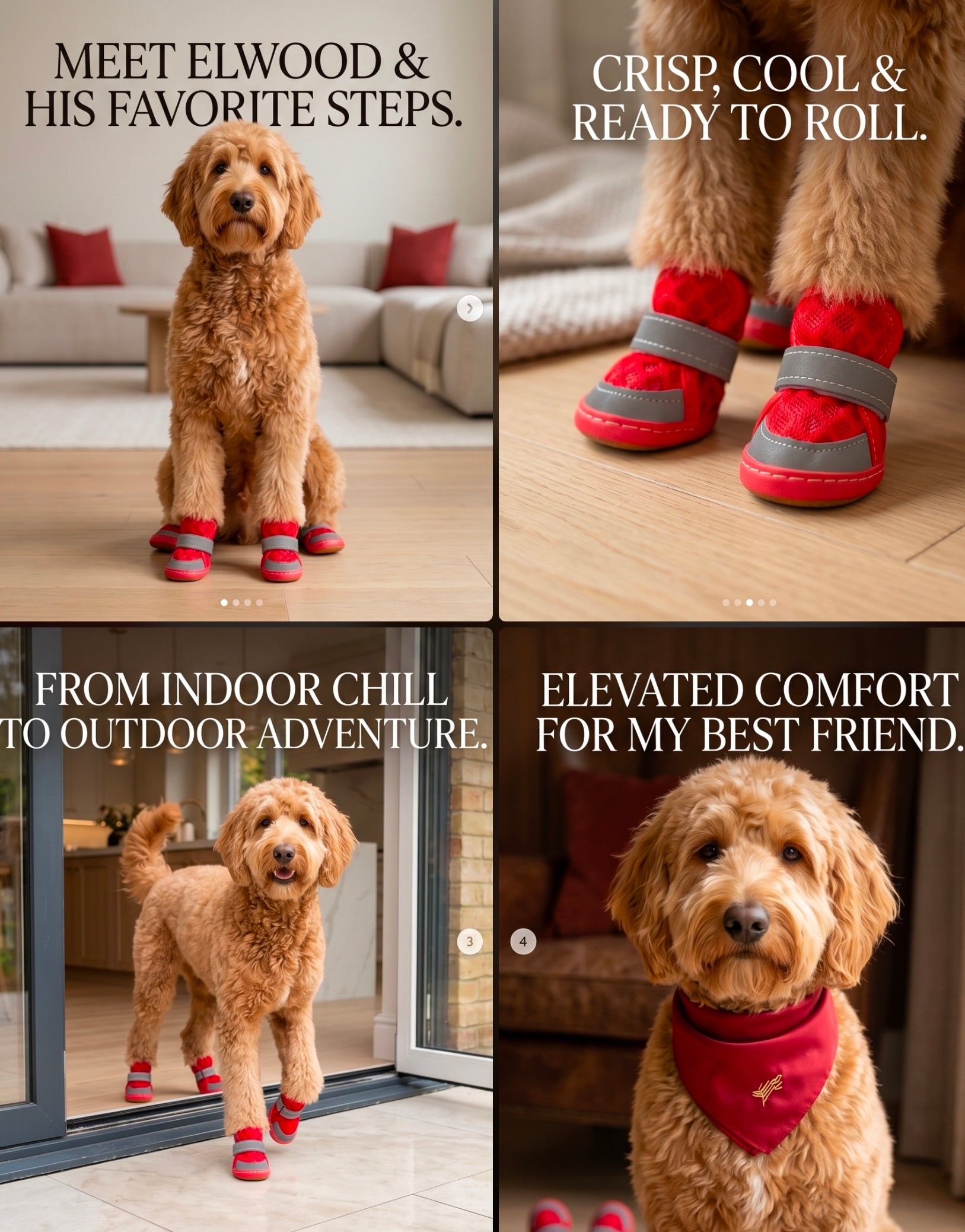 Collage of a dog wearing red boots with text describing the product and its uses. Bishop X 